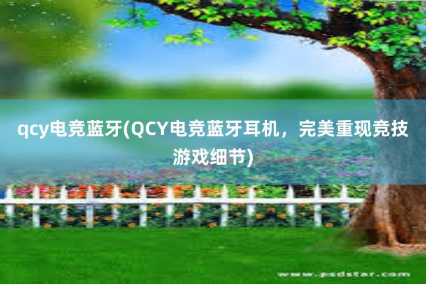 qcy电竞蓝牙(QCY电竞蓝牙耳机，完美重现竞技游戏细节)