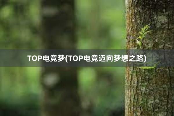 TOP电竞梦(TOP电竞迈向梦想之路)