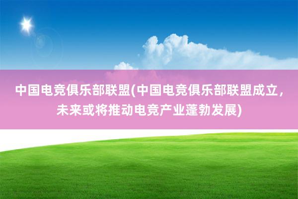 中国电竞俱乐部联盟(中国电竞俱乐部联盟成立，未来或将推动电竞产业蓬勃发展)