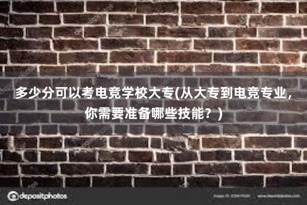 多少分可以考电竞学校大专(从大专到电竞专业，你需要准备哪些技能？)