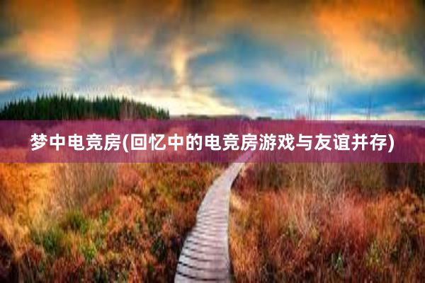 梦中电竞房(回忆中的电竞房游戏与友谊并存)