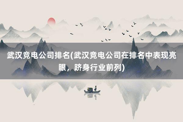 武汉竞电公司排名(武汉竞电公司在排名中表现亮眼，跻身行业前列)