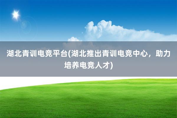 湖北青训电竞平台(湖北推出青训电竞中心，助力培养电竞人才)