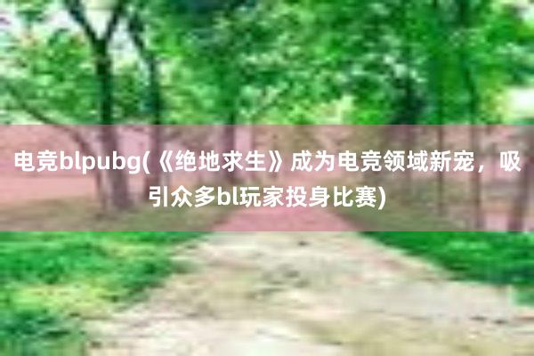 电竞blpubg(《绝地求生》成为电竞领域新宠，吸引众多bl玩家投身比赛)