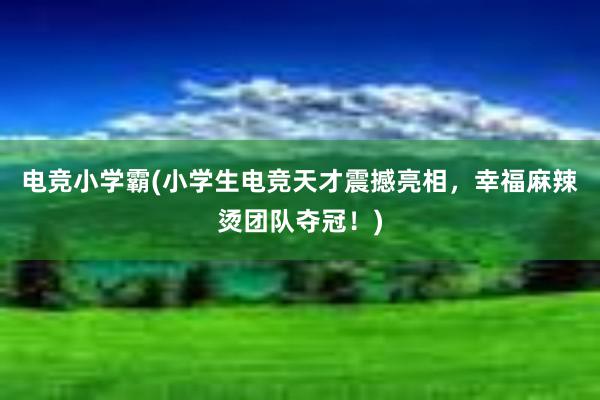 电竞小学霸(小学生电竞天才震撼亮相，幸福麻辣烫团队夺冠！)