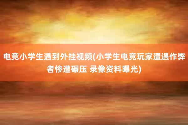 电竞小学生遇到外挂视频(小学生电竞玩家遭遇作弊者惨遭碾压 录像资料曝光)