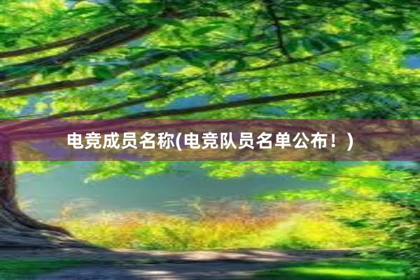 电竞成员名称(电竞队员名单公布！)