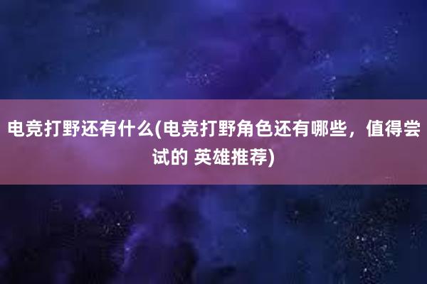 电竞打野还有什么(电竞打野角色还有哪些，值得尝试的 英雄推荐)