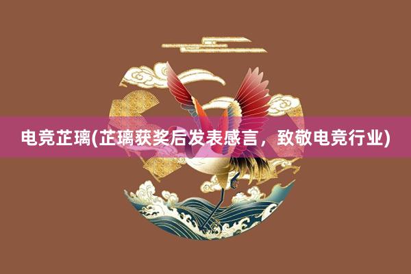 电竞芷璃(芷璃获奖后发表感言，致敬电竞行业)