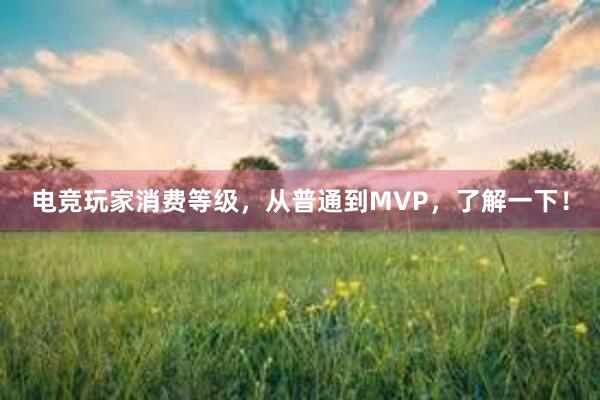 电竞玩家消费等级，从普通到MVP，了解一下！