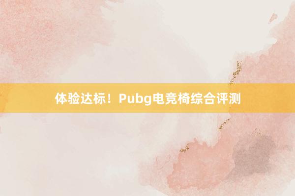 体验达标！Pubg电竞椅综合评测