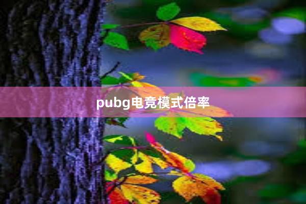 pubg电竞模式倍率