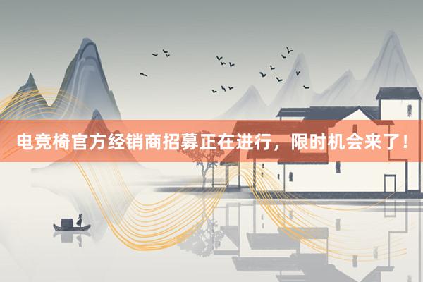 电竞椅官方经销商招募正在进行，限时机会来了！