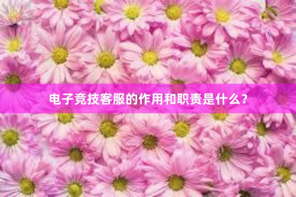 电子竞技客服的作用和职责是什么？