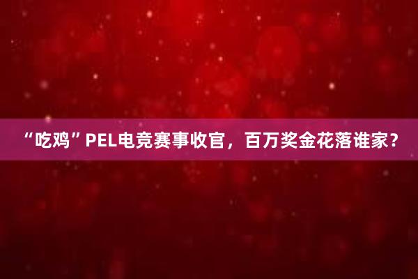 “吃鸡”PEL电竞赛事收官，百万奖金花落谁家？