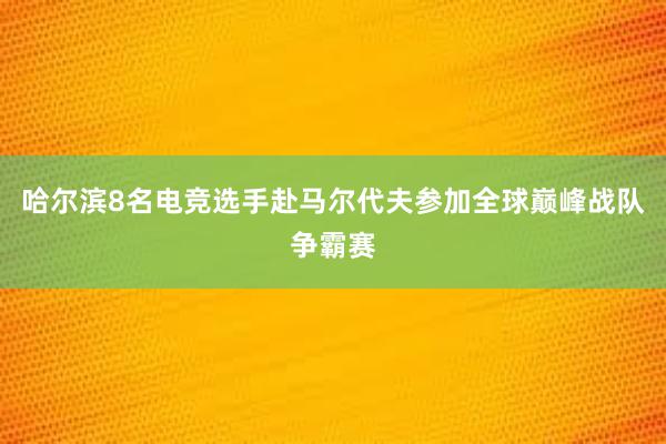 哈尔滨8名电竞选手赴马尔代夫参加全球巅峰战队争霸赛