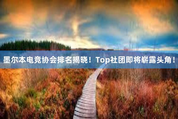 墨尔本电竞协会排名揭晓！Top社团即将崭露头角！