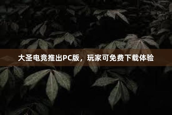 大圣电竞推出PC版，玩家可免费下载体验