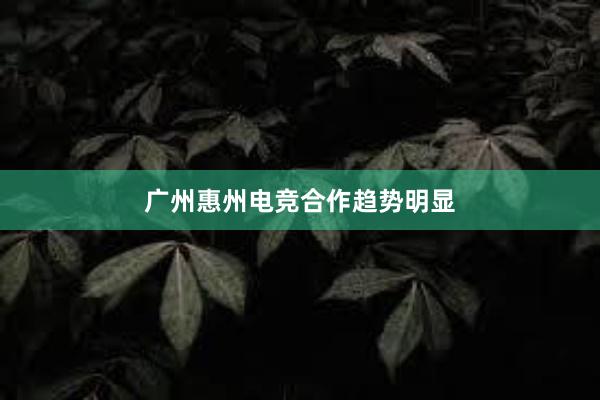 广州惠州电竞合作趋势明显