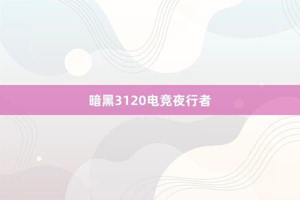 暗黑3120电竞夜行者