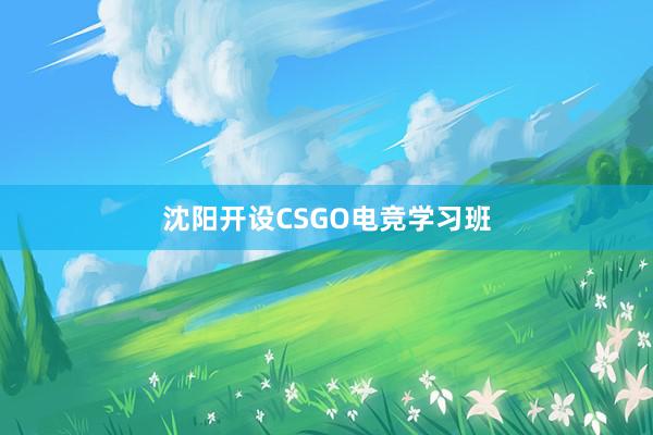 沈阳开设CSGO电竞学习班