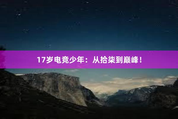 17岁电竞少年：从拾柒到巅峰！