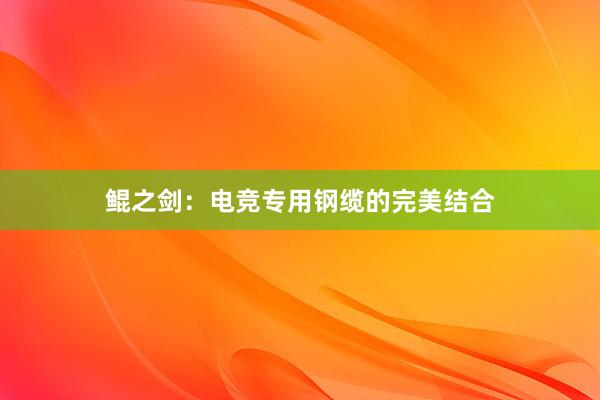 鲲之剑：电竞专用钢缆的完美结合