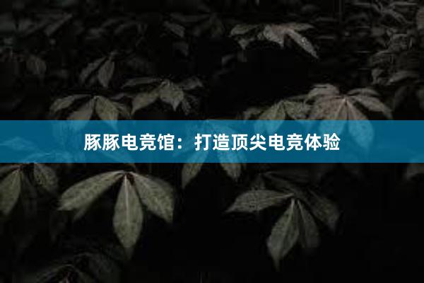 豚豚电竞馆：打造顶尖电竞体验